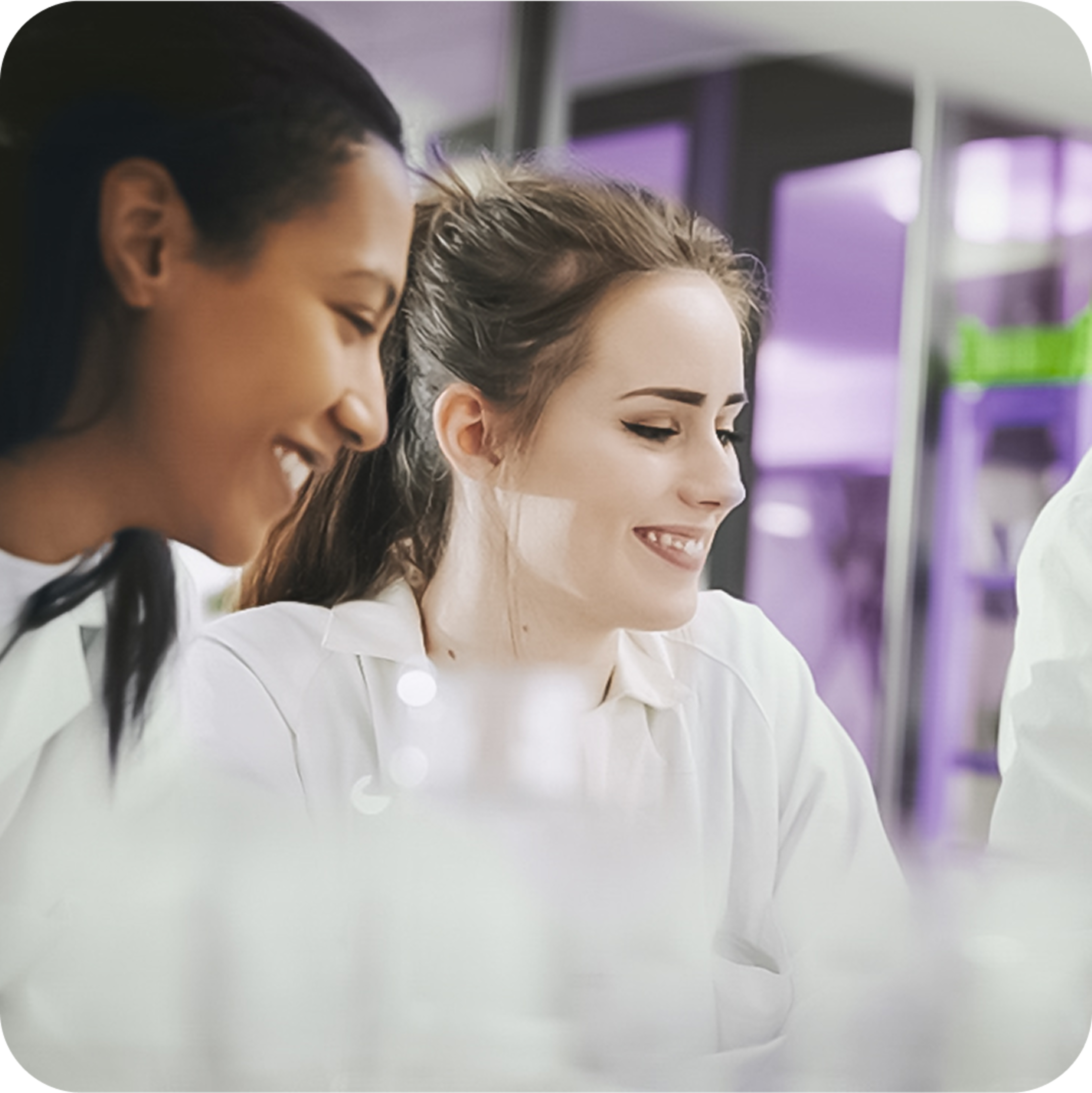 Mentoring and consulting services.